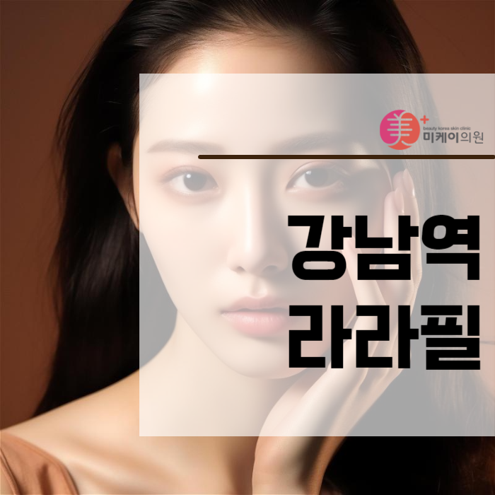 강남역라라필 시술로 아름다운 피부를 찾아가는 여정 관련 이미지 1