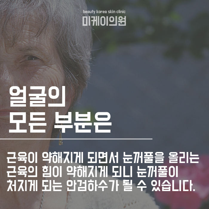 피부노화는 왜? 궁금하시다면 관련 이미지 3