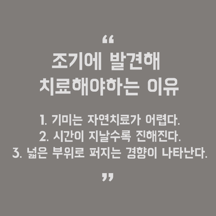 서초기미제거로 맑은피부톤 만들기 관련 이미지 5