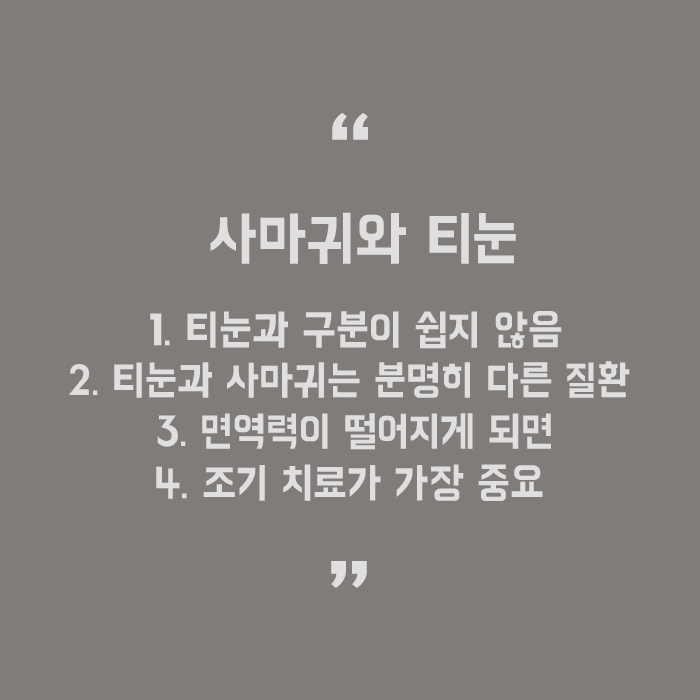 강남점사마귀피부과 피부의 옥에 티 없애기 관련 이미지 5