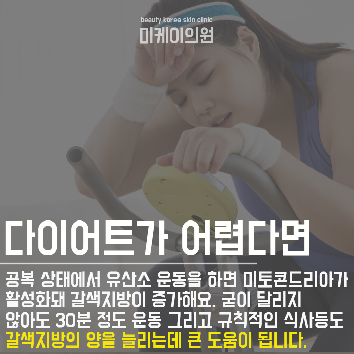 백색지방세포 갈색지방세포 구별해요 관련 이미지 4