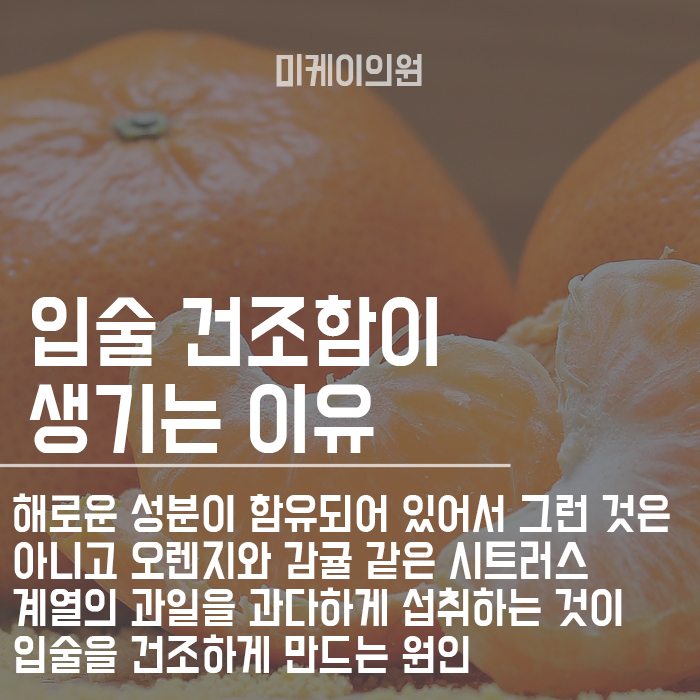 입술각질제거 집에서 손쉽게 촉촉한 입술로 관련 이미지 2