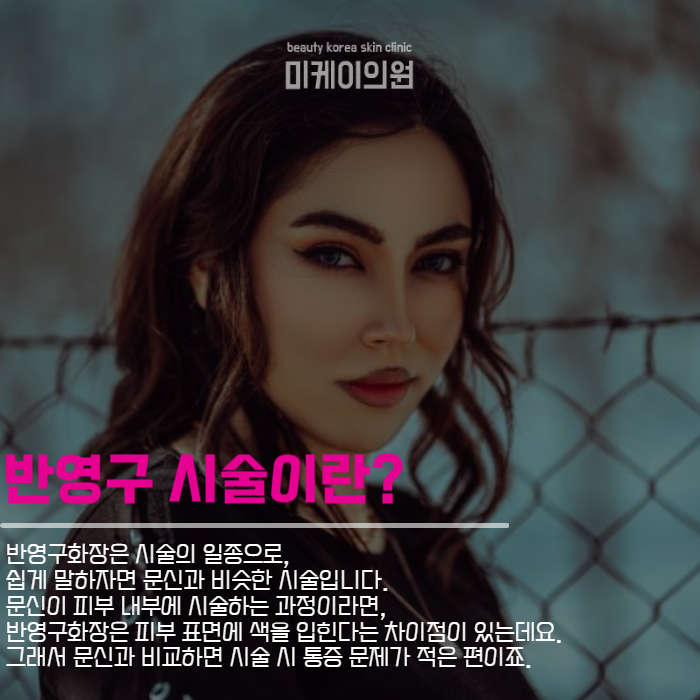 반영구화장종류 헤어라인부터 입술까지 관련 이미지 2