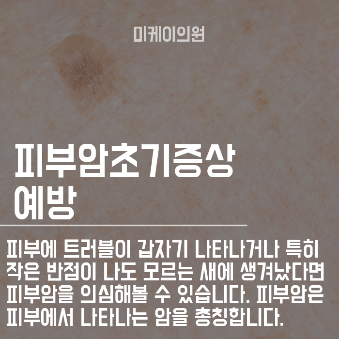 피부암에 좋은 음식 섭취하며 관리해봐요 관련 이미지 2