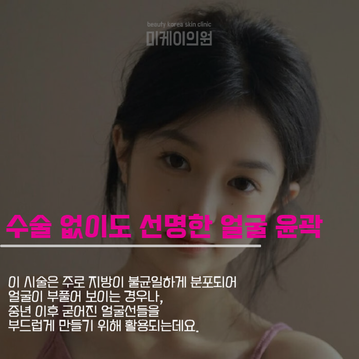 신논현역피부과추천 탁월한 윤곽 주사 시술 관련 이미지 2