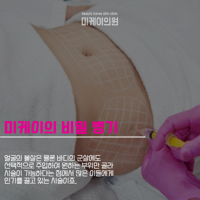 강남역 지방분해주사 여름을 위한 몸매 관리 관련 이미지 2