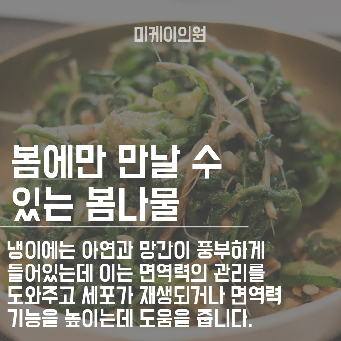 면역력 높이는 음식 챙겨먹고 건강하게 생활하자 관련 이미지 6