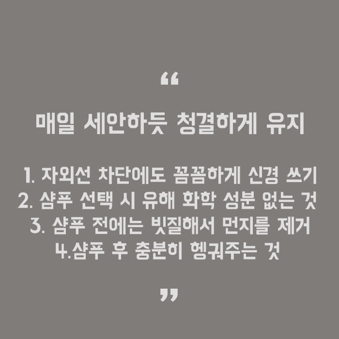 여름철머리두피관리 어렵지 않아 관련 이미지 5