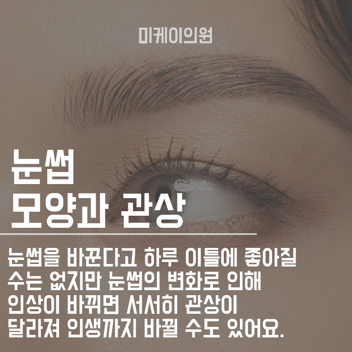 눈썹모양으로 관상보는법 어떻게 다를까? 관련 이미지 2