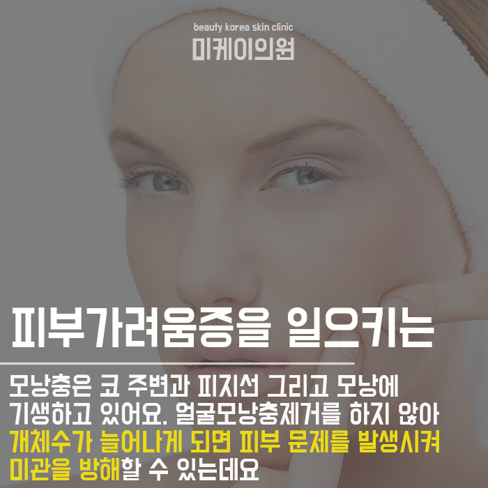 얼굴에 사는 벌레 모낭충이란? 관련 이미지 4