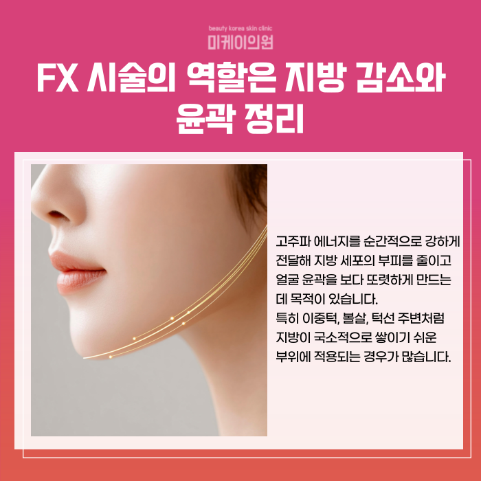 Understanding InMode Treatments at Gangnam Station: Forma and FX image 3