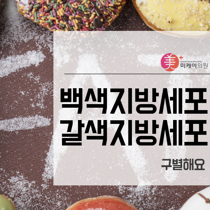 백색지방세포 갈색지방세포 구별해요 관련 이미지 1