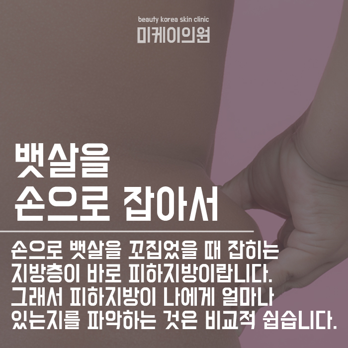 피하지방 내장지방 빼는 방법 차이가 있다? 관련 이미지 3