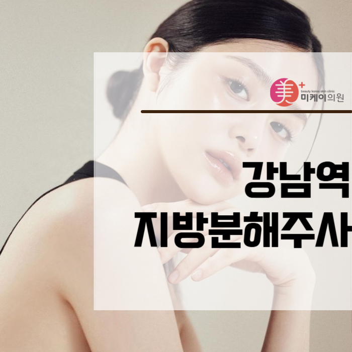 강남역 지방분해주사 겨울철 지방 관리 관련 이미지 1