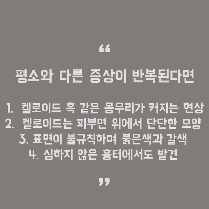 귀뚫고연고 발라도되나요? 고민하지 마세요 관련 이미지 5