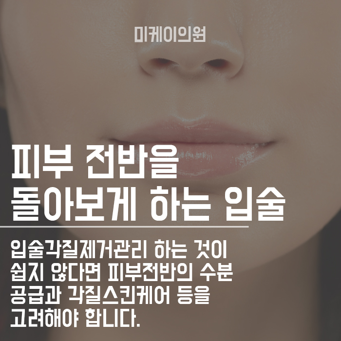 입술각질제거관리 후 관리 보습이 중요해요! 관련 이미지 6