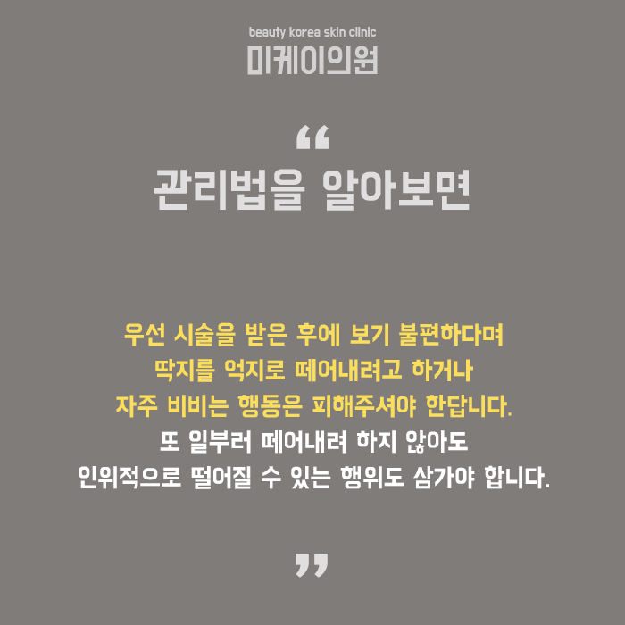 눈썹반영구문신 처음부터 끝까지 알아보기 관련 이미지 6