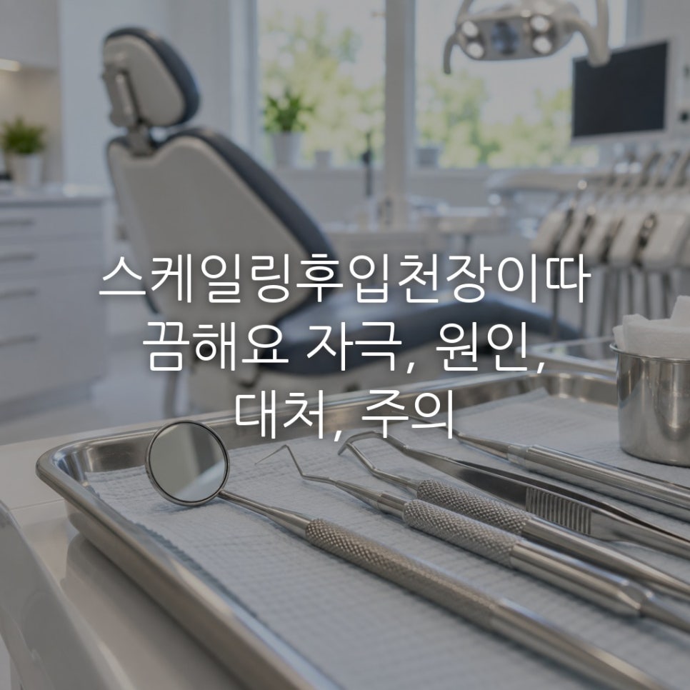 스케일링후입천장이따끔해요 자극, 원인, 대처, 주의 관련 이미지 1