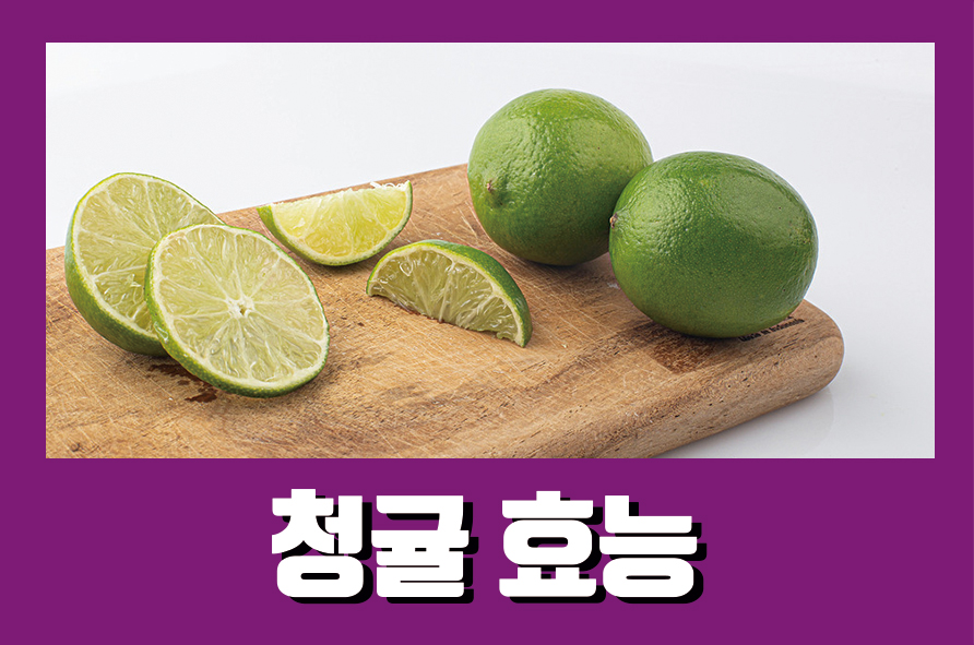 청귤효능 10가지와 부작용까지 알아보자 관련 이미지 1