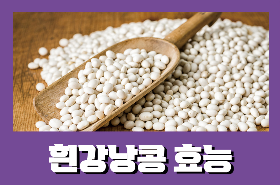 흰강낭콩효능 다이어트에 도움이 되는 관련 이미지 1