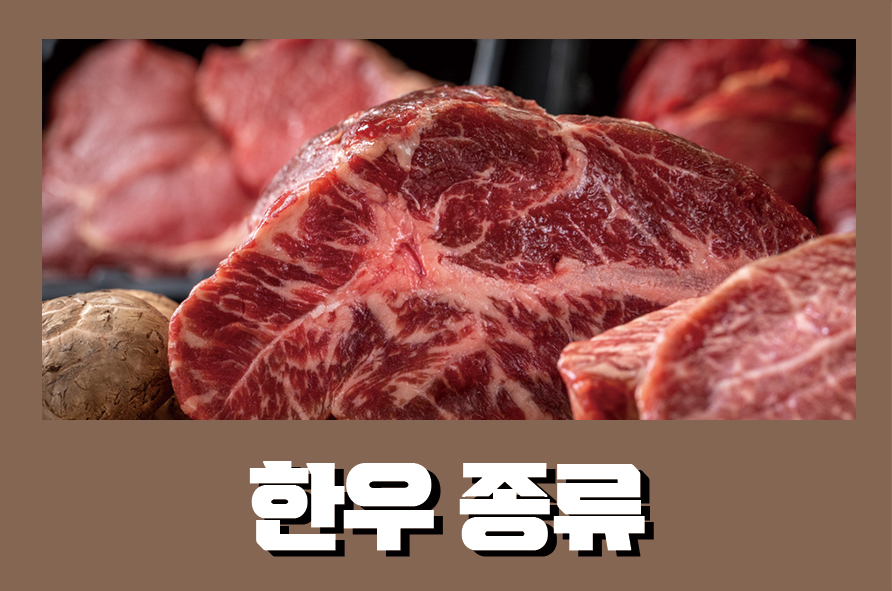 한우종류 설날 선물 고르기 전에 이것부터 관련 이미지 1