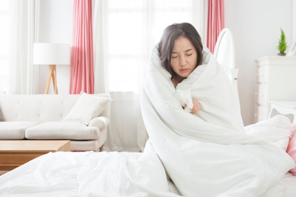 말라리아전염 감염 위험한 이유는 관련 이미지 3
