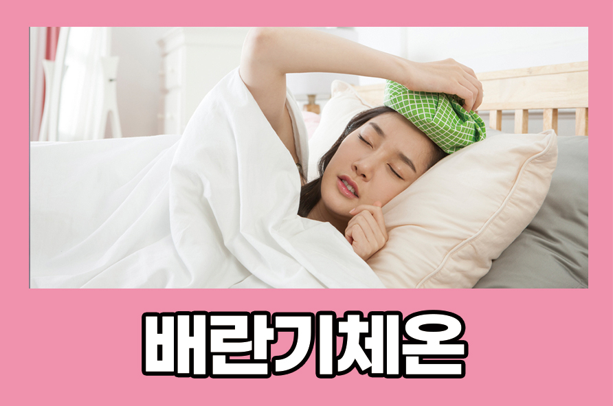배란기체온 상승 원인과 증상을 알아보자 관련 이미지 1