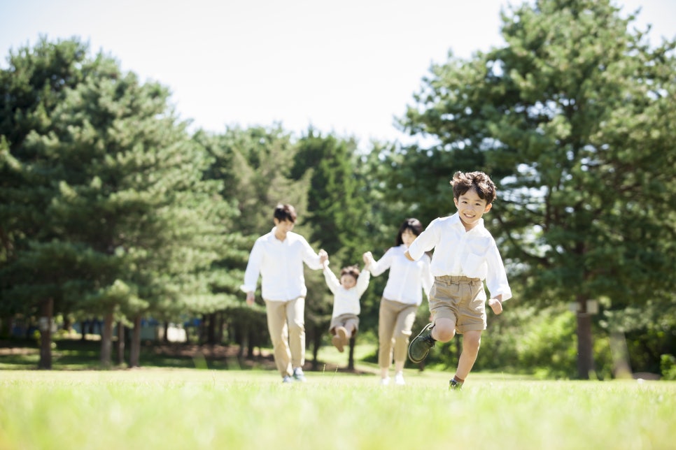 빨간진드기 다카라다니 원인과 증상, 예방법까지 관련 이미지 5