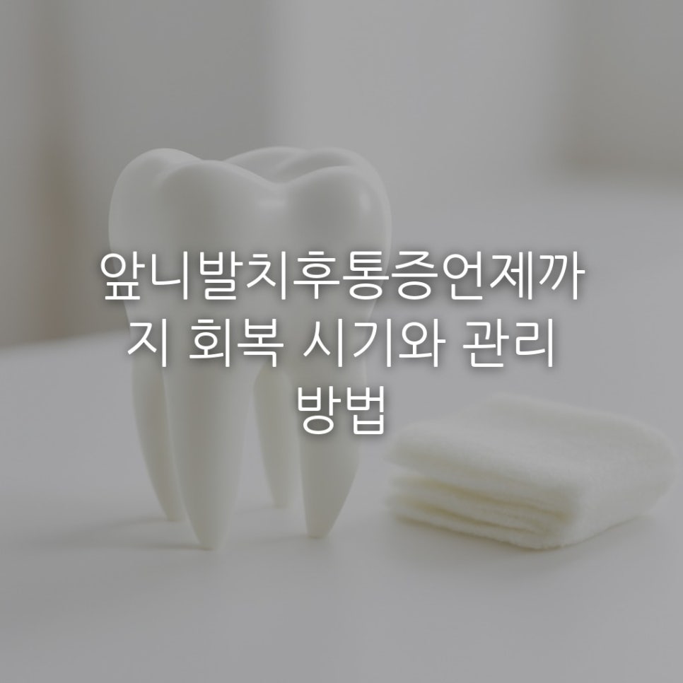 앞니발치후통증언제까지 회복 시기와 관리 방법 관련 이미지 1