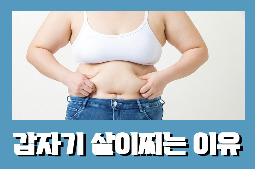 갑자기살이찌는이유 8가지 원인 중에서 관련 이미지 1
