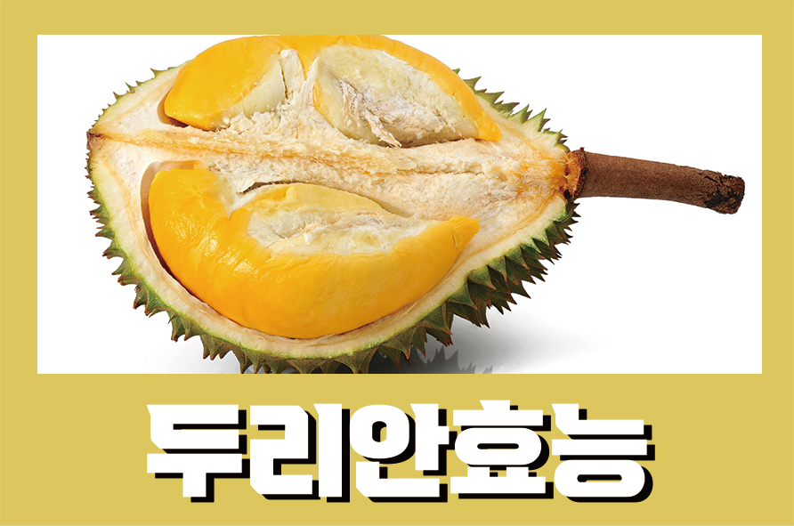 두리안효능 냄새나는 두리안 그만큼 효과는 뛰어나다고 관련 이미지 1