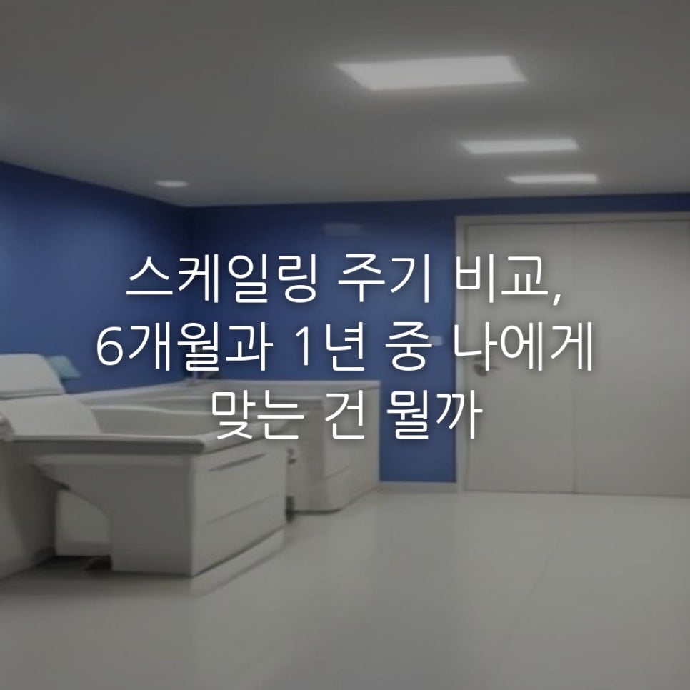 스케일링 주기 비교, 6개월과 1년 중 나에게 맞는 건 뭘까 관련 이미지 1