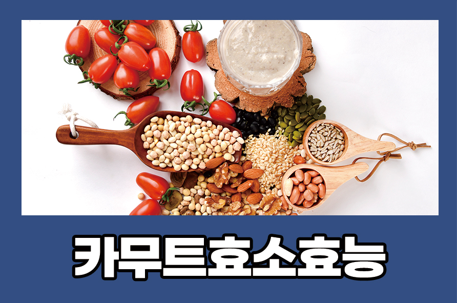 카무트효소효능 부작용에 대해 알아봐요 관련 이미지 1