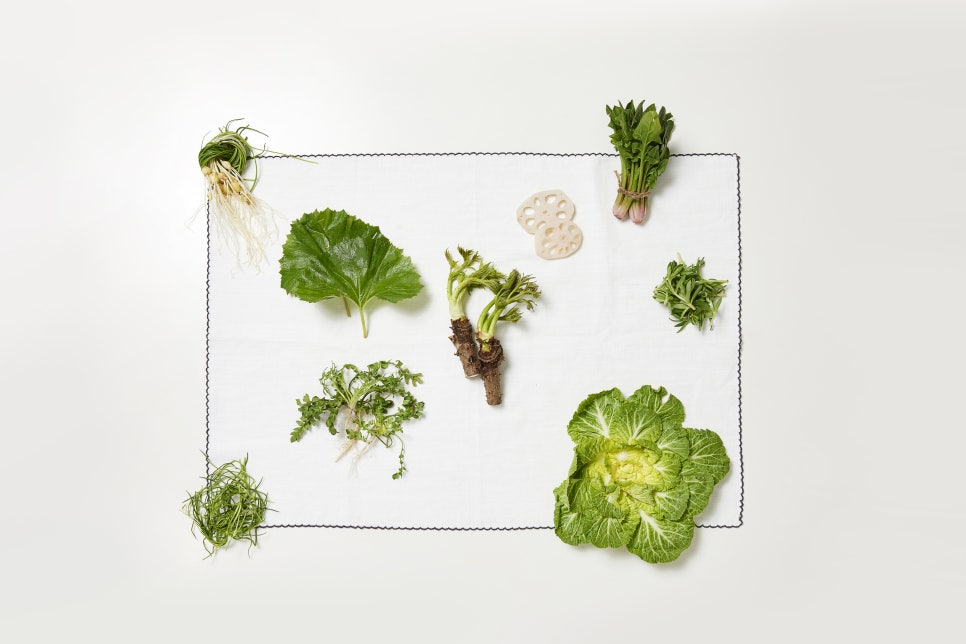 Butterbur Benefits, Side Effects, and Various Ways to Consume It image 5