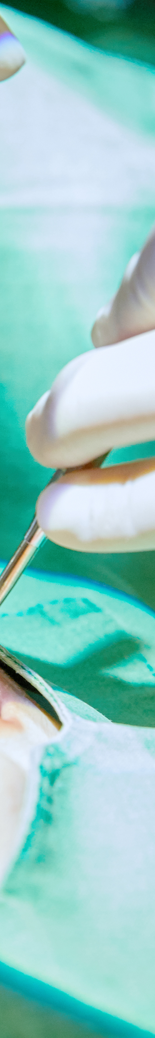 Yeongdeungpo Dental Clinic: Comfortable Sleep Implant Using Conscious Sedation image 29