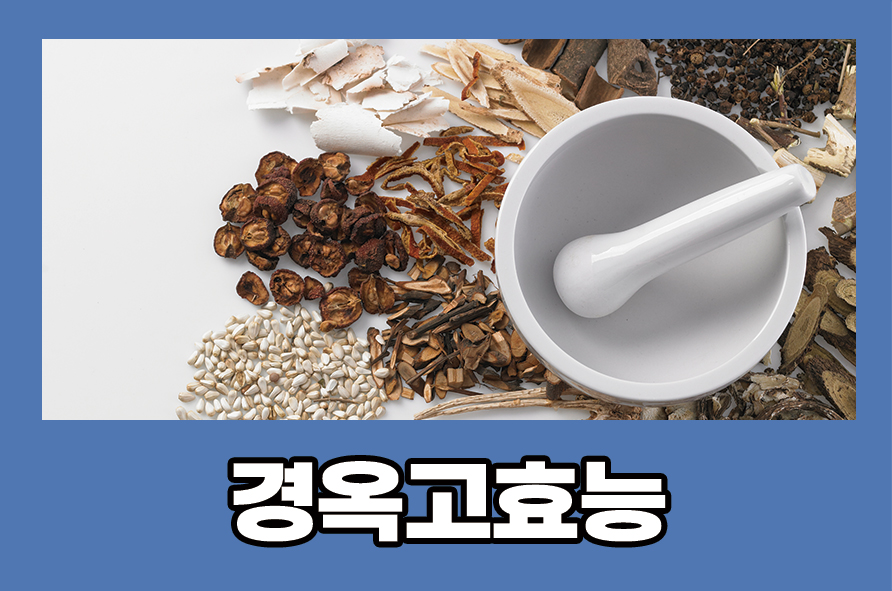 경옥고효능 먹는 방법, 공진단과 차이점 관련 이미지 1