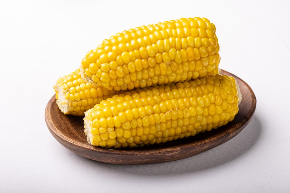 초당옥수수효능과 맛있는 옥수수 고르는 방법 관련 이미지 5