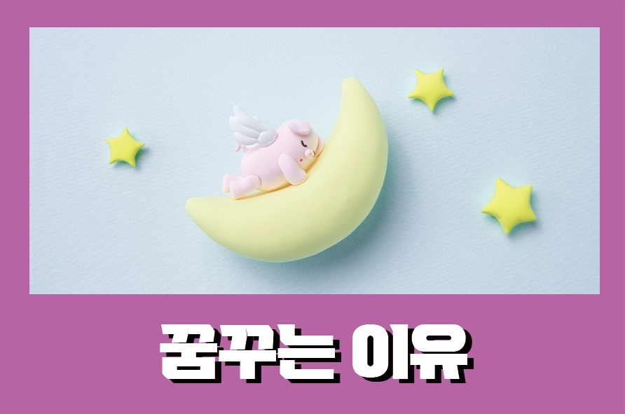 꿈꾸는이유 꿈에는 의미가 담겨 있을까요? 관련 이미지 1