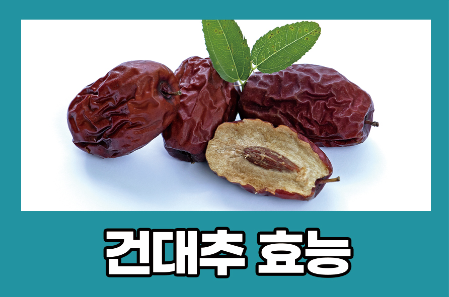 건대추효능 6가지와 부작용 알아보기 관련 이미지 1