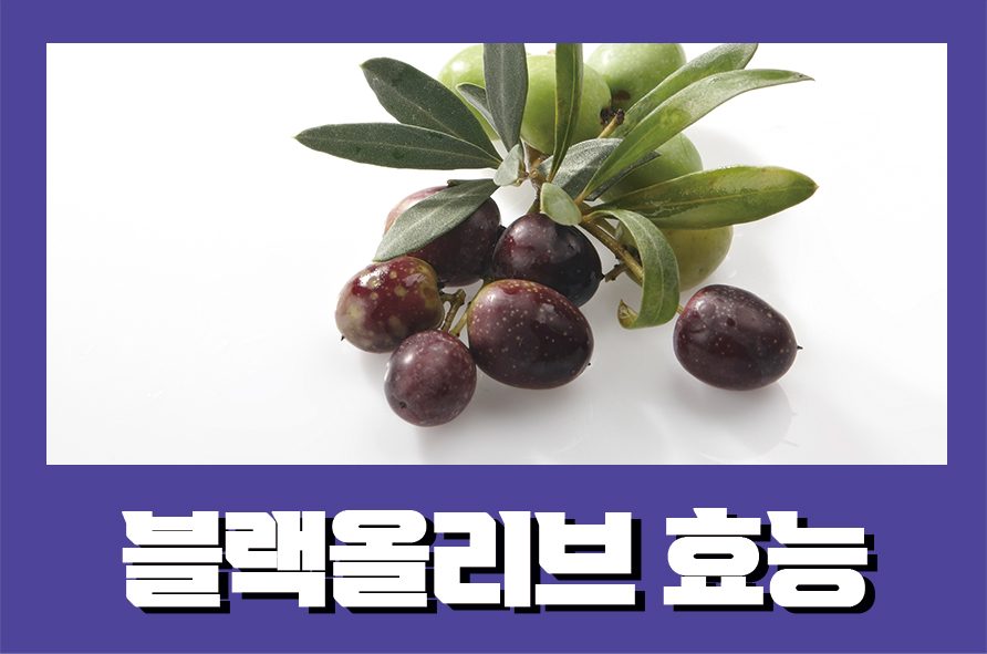 블랙올리브효능 섭취시 느껴지는 효능은 관련 이미지 1