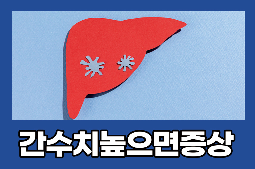 간수치높으면증상 낮추는 법까지 알아봐요 관련 이미지 1