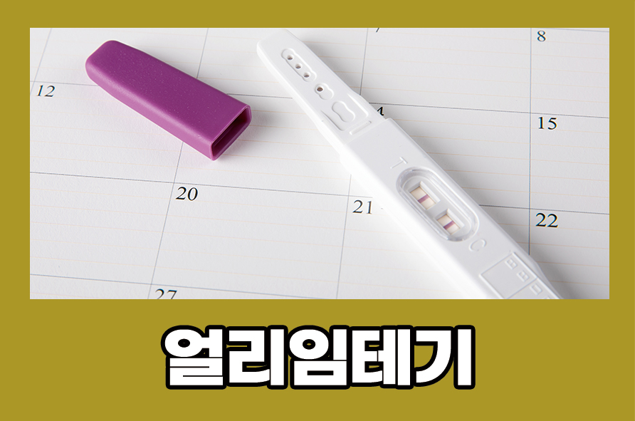 Timing for Early Pregnancy Tests, How to Use Them, and Precautions image 1