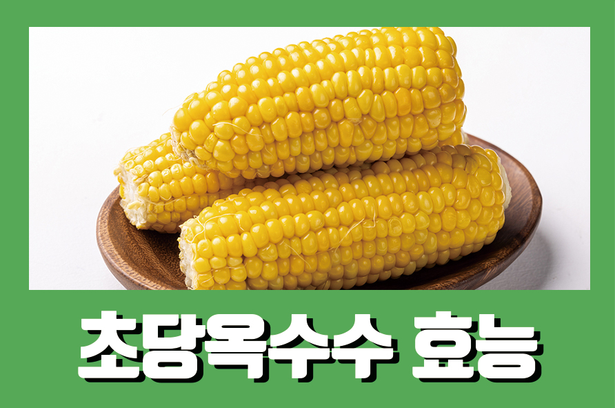 초당옥수수효능과 맛있는 옥수수 고르는 방법 관련 이미지 1
