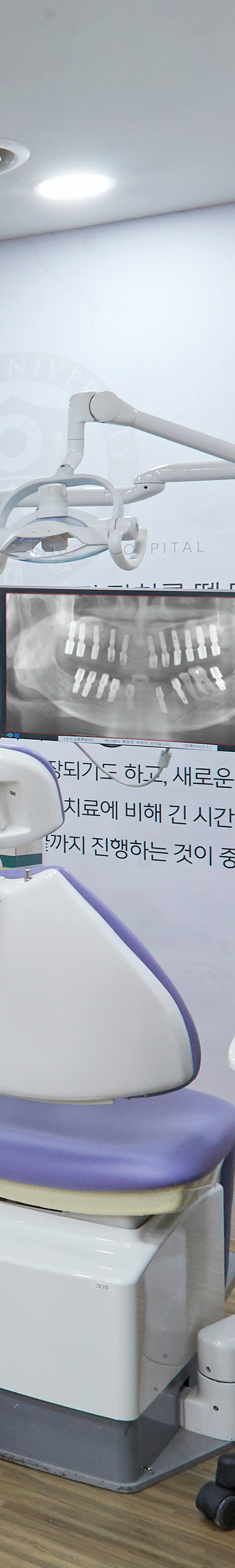 신촌치과추천 임플란트구조 자연치아와 유사한 관련 이미지 44