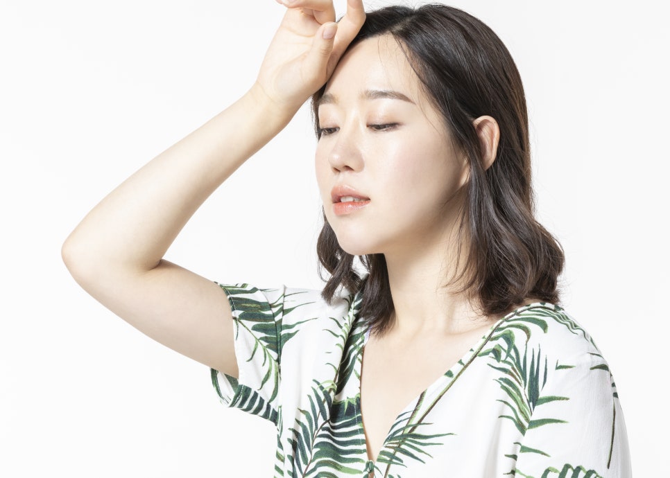 2022복날 초복 중복 말복 먹어야 할 음식은 관련 이미지 2