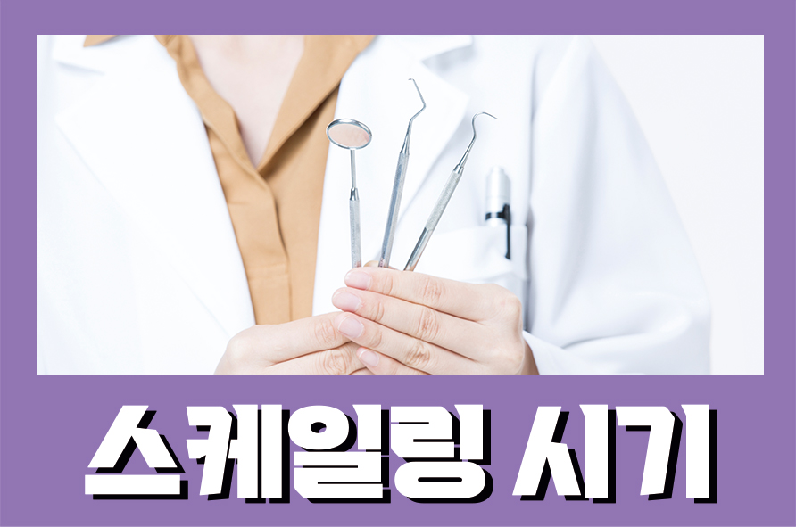 치아스케일링시기 횟수 비용을 알아 보아요 관련 이미지 1