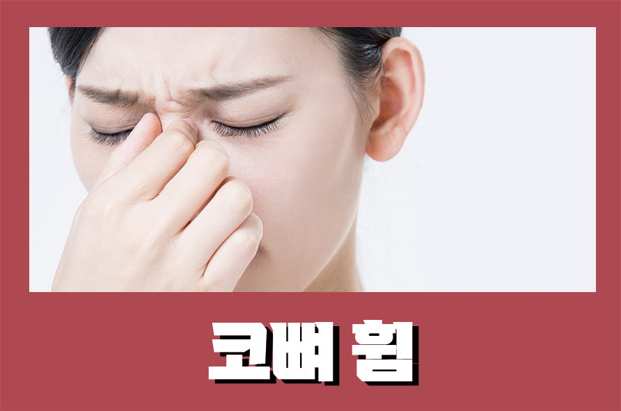 코뼈휨 비중격만곡증 비염이 원인이라면 관련 이미지 1