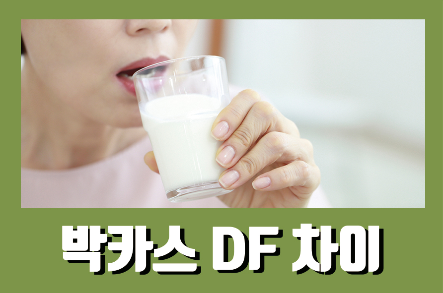 박카스DF차이 확인하고 알맞게 섭취해요 관련 이미지 1