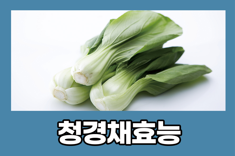 청경채효능 5가지와 섭취 시 부작용 알아봐요 관련 이미지 1