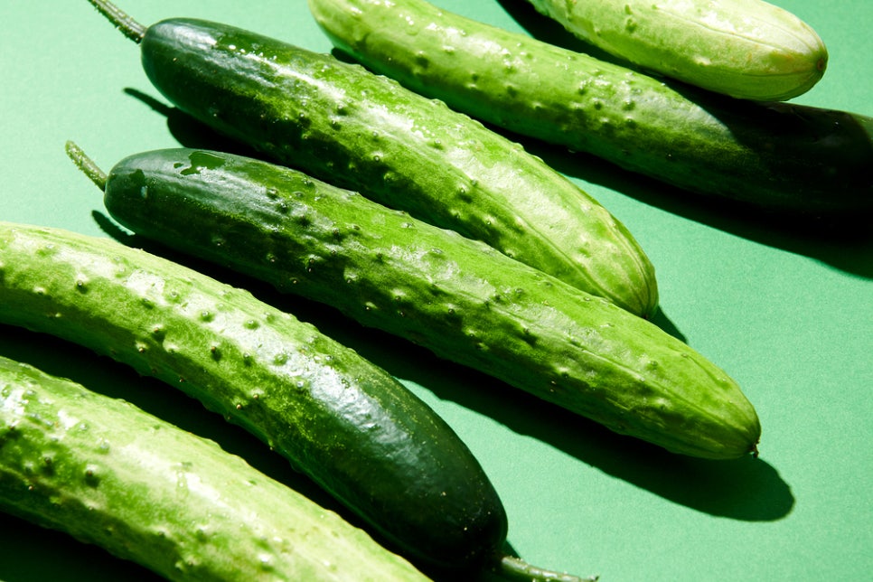 오이1개칼로리 효능 알고 섭취하자 관련 이미지 2